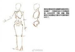 超实用的人体基础绘画教程（二）